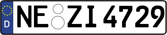 NE-ZI4729