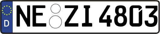 NE-ZI4803