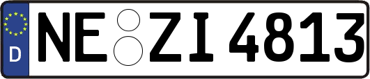 NE-ZI4813