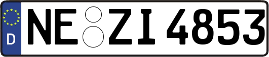 NE-ZI4853