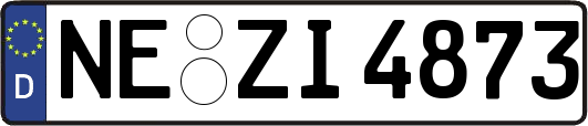 NE-ZI4873