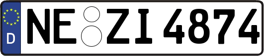 NE-ZI4874