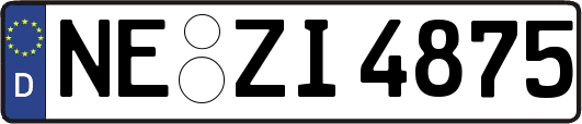 NE-ZI4875