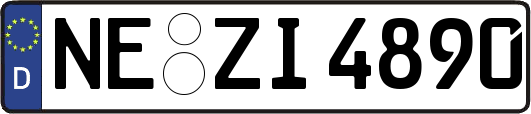 NE-ZI4890