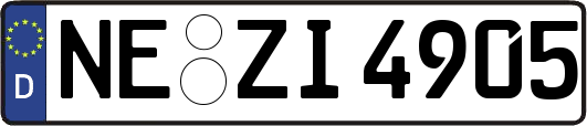 NE-ZI4905