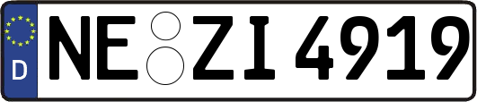 NE-ZI4919