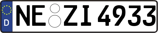 NE-ZI4933