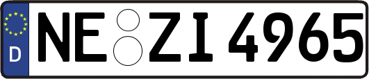 NE-ZI4965
