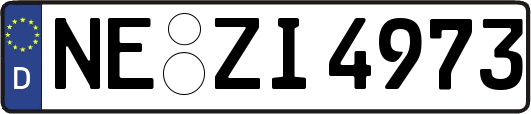 NE-ZI4973