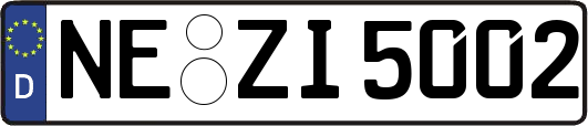 NE-ZI5002