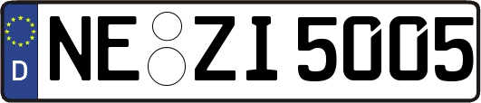 NE-ZI5005