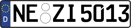 NE-ZI5013