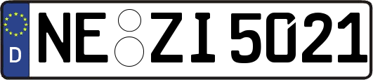 NE-ZI5021