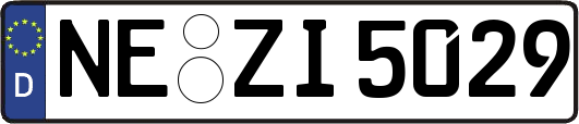 NE-ZI5029