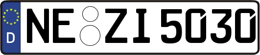 NE-ZI5030