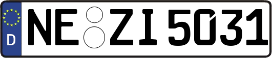 NE-ZI5031
