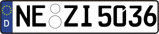 NE-ZI5036