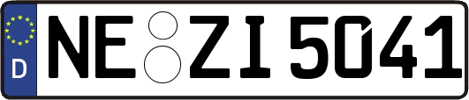NE-ZI5041