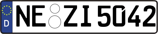 NE-ZI5042