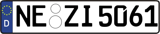 NE-ZI5061