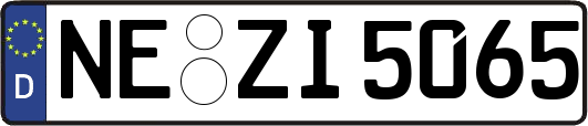 NE-ZI5065
