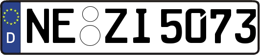 NE-ZI5073