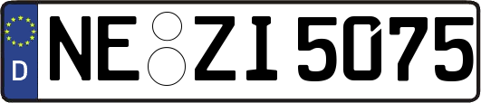 NE-ZI5075