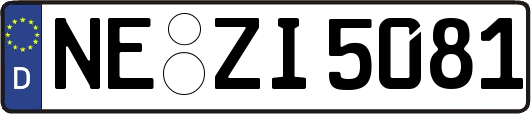 NE-ZI5081