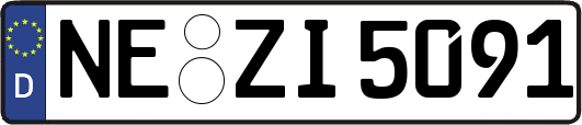 NE-ZI5091