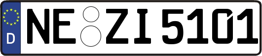 NE-ZI5101