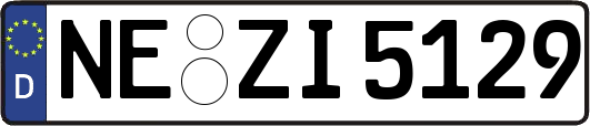 NE-ZI5129