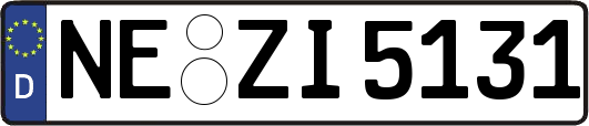 NE-ZI5131