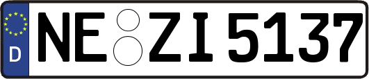 NE-ZI5137