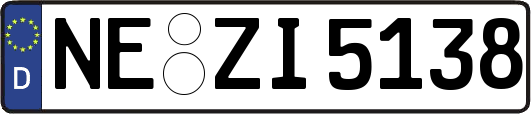 NE-ZI5138