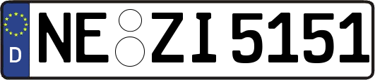 NE-ZI5151
