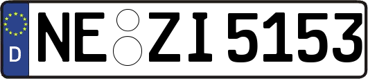 NE-ZI5153
