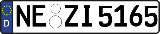 NE-ZI5165