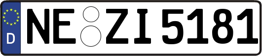 NE-ZI5181