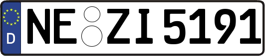 NE-ZI5191