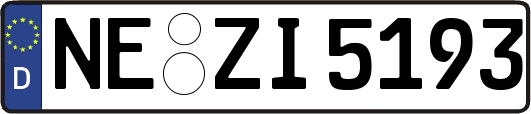 NE-ZI5193