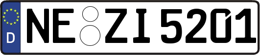 NE-ZI5201