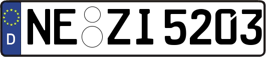 NE-ZI5203