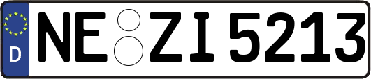 NE-ZI5213
