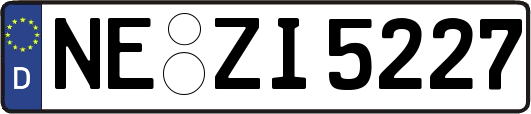 NE-ZI5227