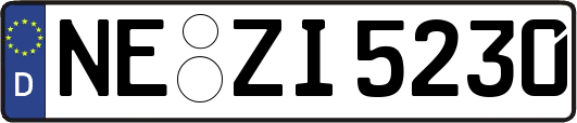 NE-ZI5230