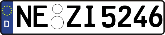 NE-ZI5246
