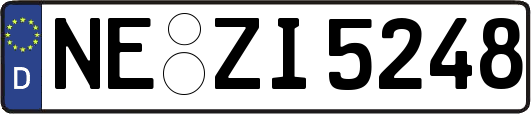 NE-ZI5248
