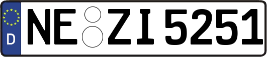 NE-ZI5251
