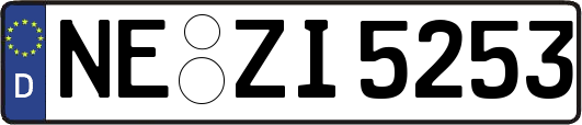 NE-ZI5253