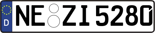 NE-ZI5280